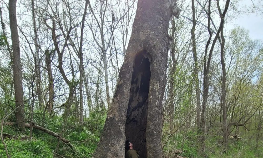 Antietam2